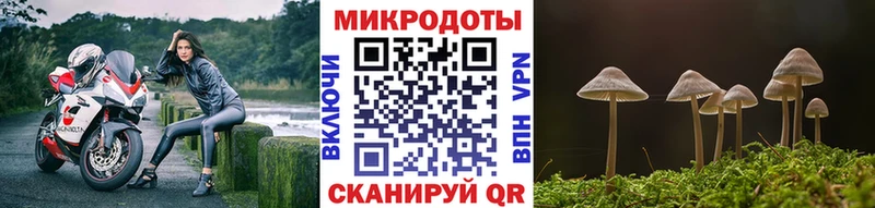 Галлюциногенные грибы MAGIC MUSHROOMS Купить закладки Новоалтайск